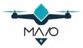 website logo